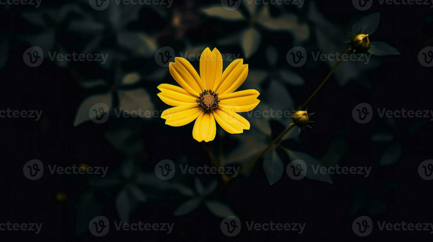 AI Generative single yellow flower in a dark photo