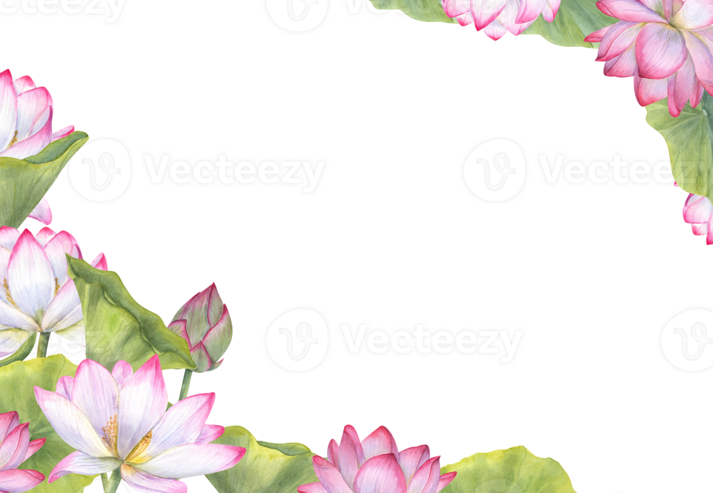 Horizontal frame of Indian sacred lotus flowers with leaves. Water lily, Indian lotus, green leaf, bud. Space for text. Watercolor illustration for greetings, package, label. png
