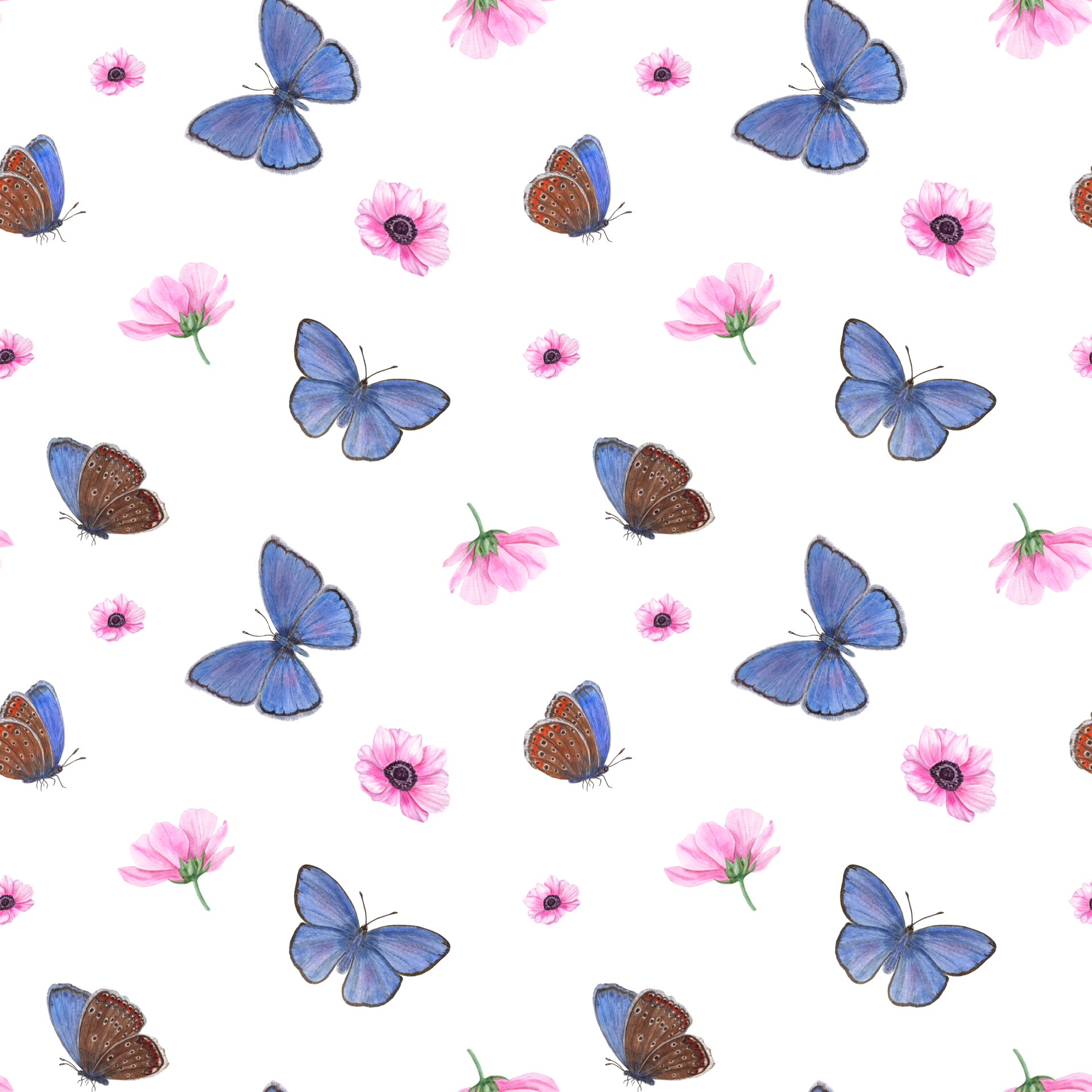 Flying White Butterflies Among Pink Anemone Flowers Isolated On White  Background Cabbage Butterflies Watercolor Seamless Pattern For Prints  Fabric Textile Scrapbooking Wrapping Stock Illustration - Download Image  Now - iStock