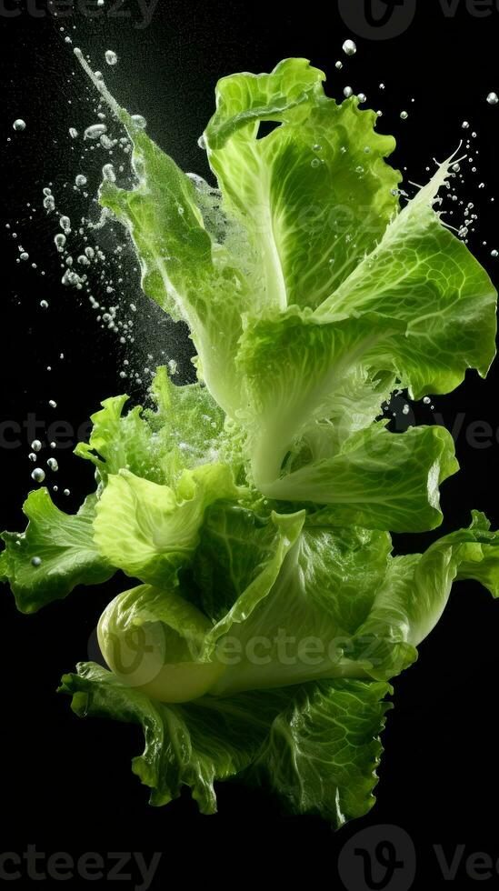 AI Generative a photo of lettuce