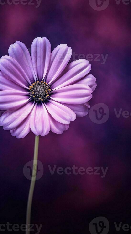 AI Generative purple flower with dark purple background photo