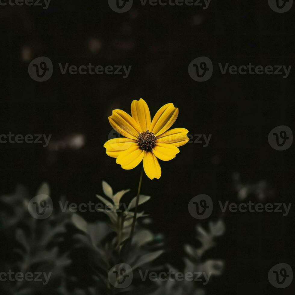 AI Generative single yellow flower in a dark photo