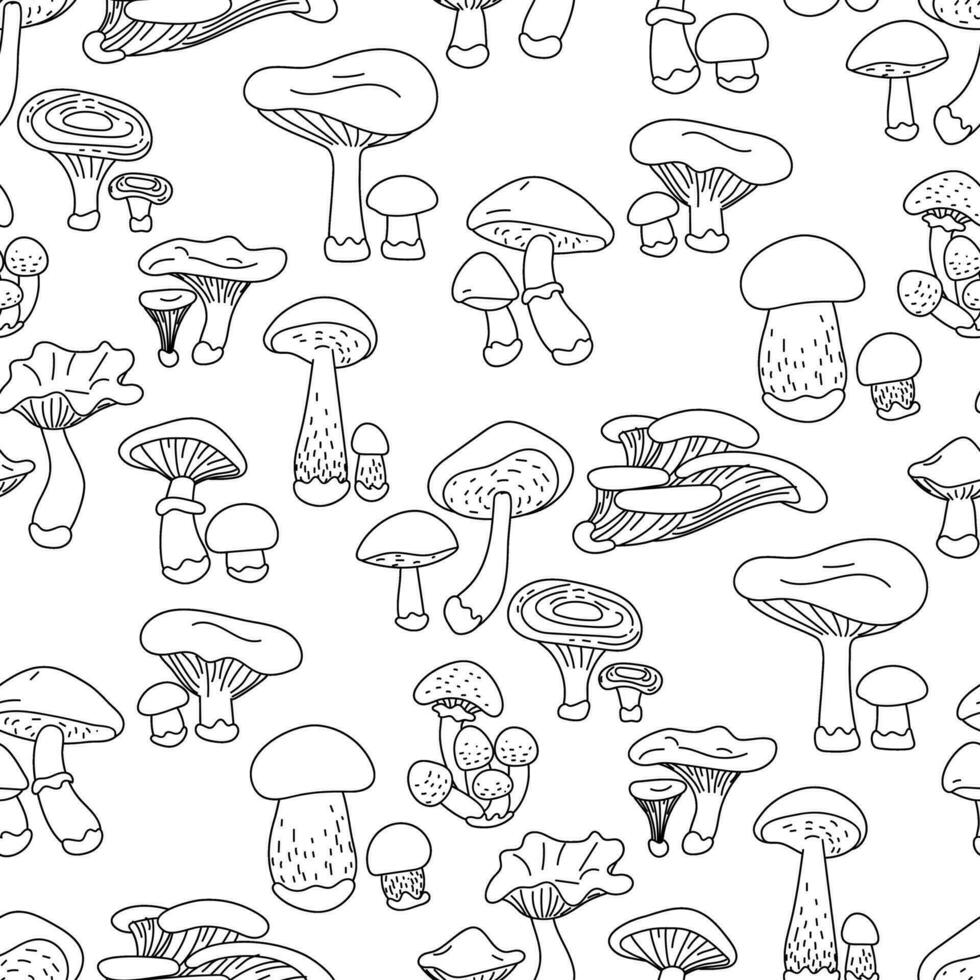 A pattern with contour mushrooms. Contrasting illustration depicting a thin black outline of mushrooms on a white background. Contoured seamless texture for printing on textiles and paper vector