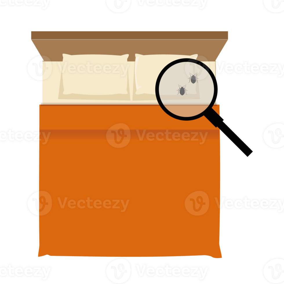 Bed bugs problem, a hand inspecting a bedding with a magnifying glass png