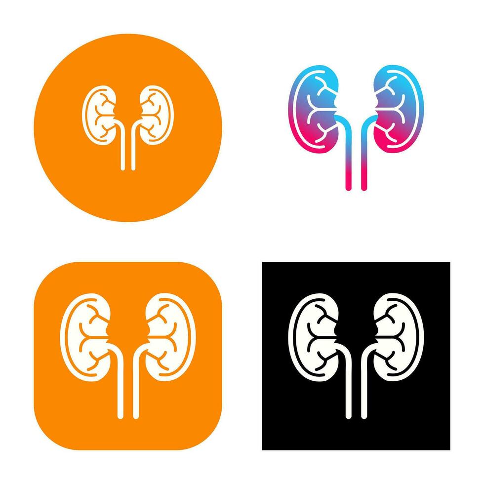 Kidney Vector Icon