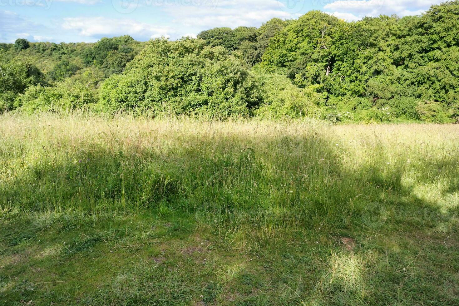 Most Beautiful British Countryside Landscape at Sharpenhoe Clappers Valley of England Luton, UK. Image Was captured on June 24th, 2023 photo