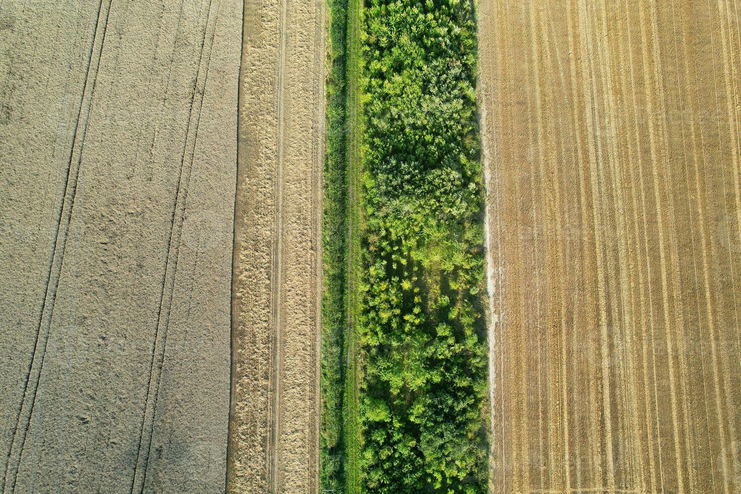 High Angle Footage of British Agricultural Farms at Countryside Landscape Nearby Luton City of England Great Britain of UK. Footage Was Captured with Drone's Camera on August 19th, 2023 photo