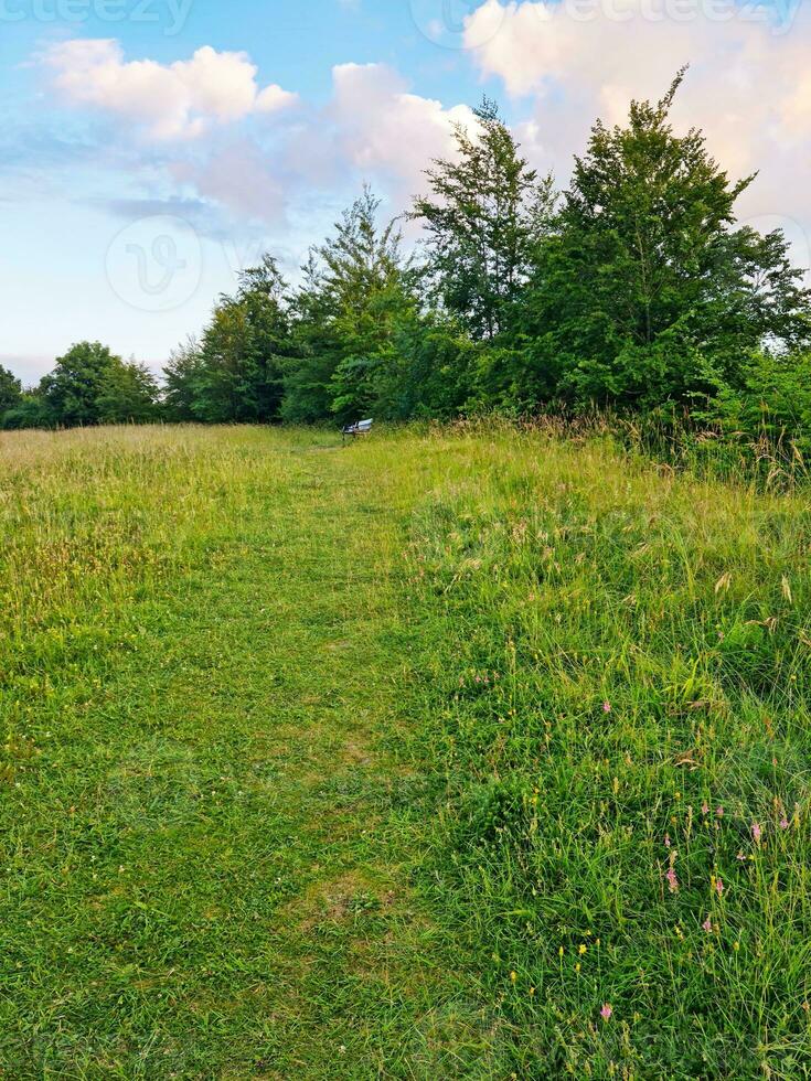 Beautiful Low Angle view of British Landscape and Countryside photo