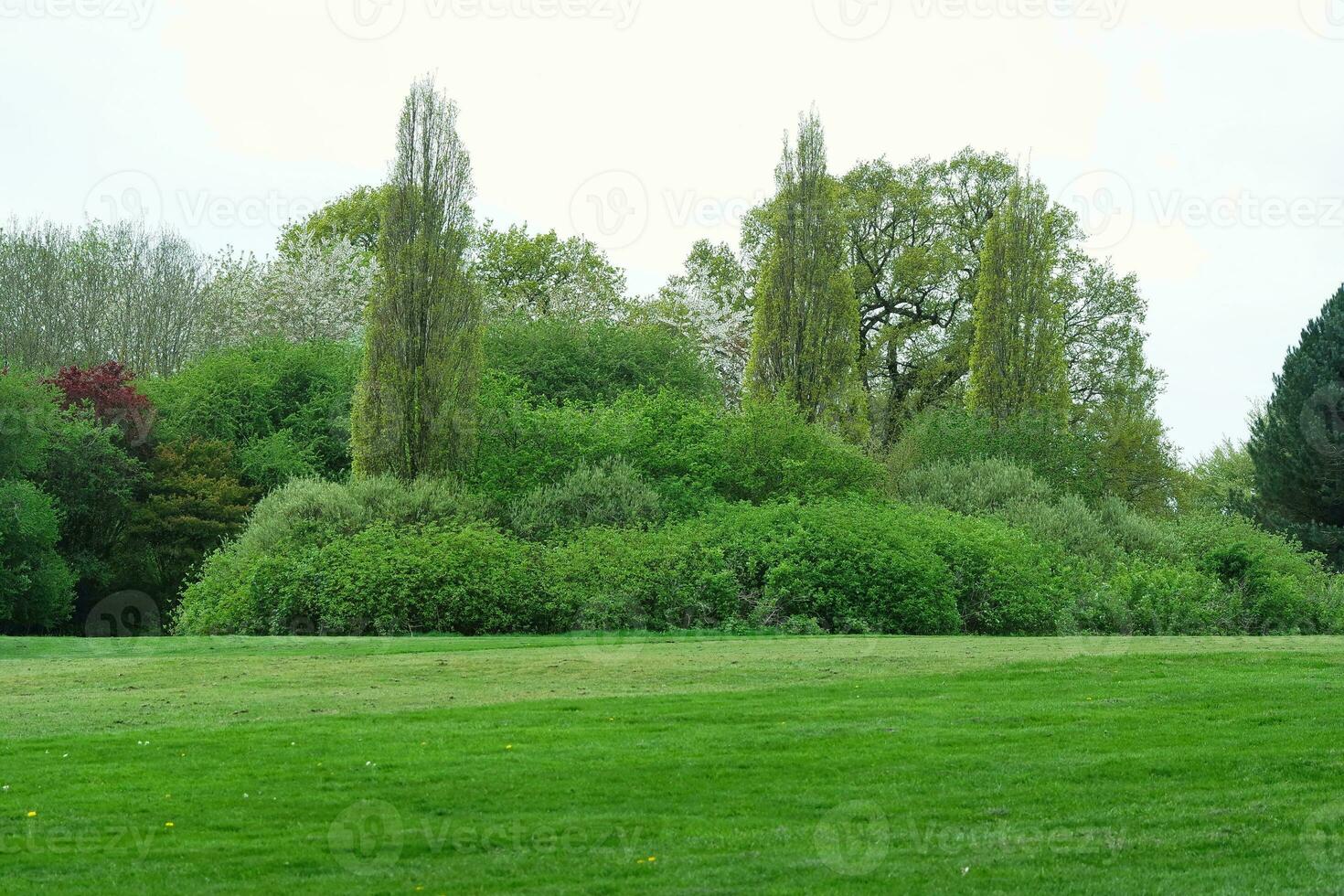 Gorgeous Low Angle View of Local Public Park of Luton England UK photo