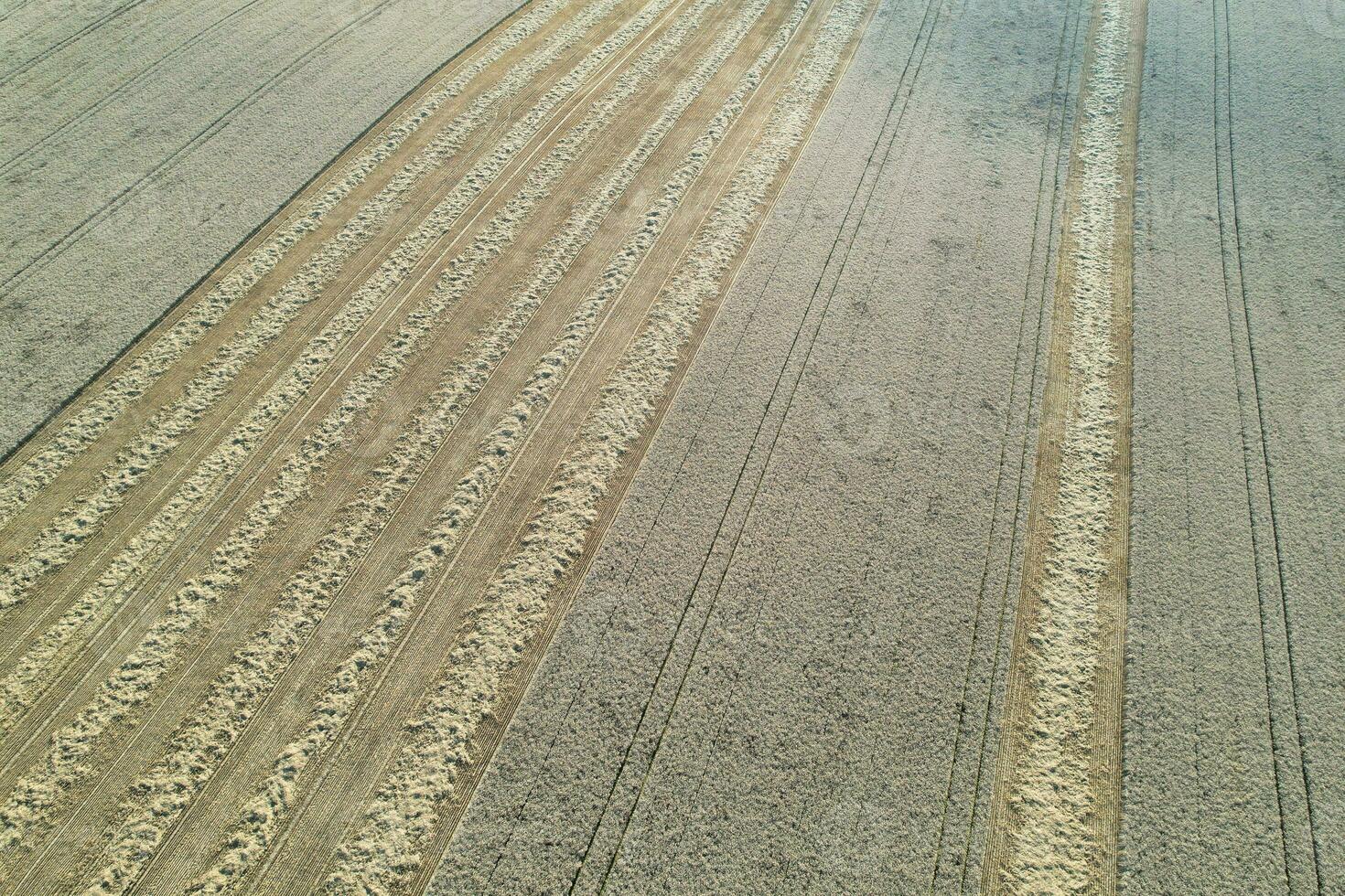 alto ángulo imágenes de británico agrícola granjas a campo paisaje cerca lutón ciudad de Inglaterra genial Bretaña de Reino Unido. imágenes estaba capturado con drones cámara en agosto 19, 2023 foto