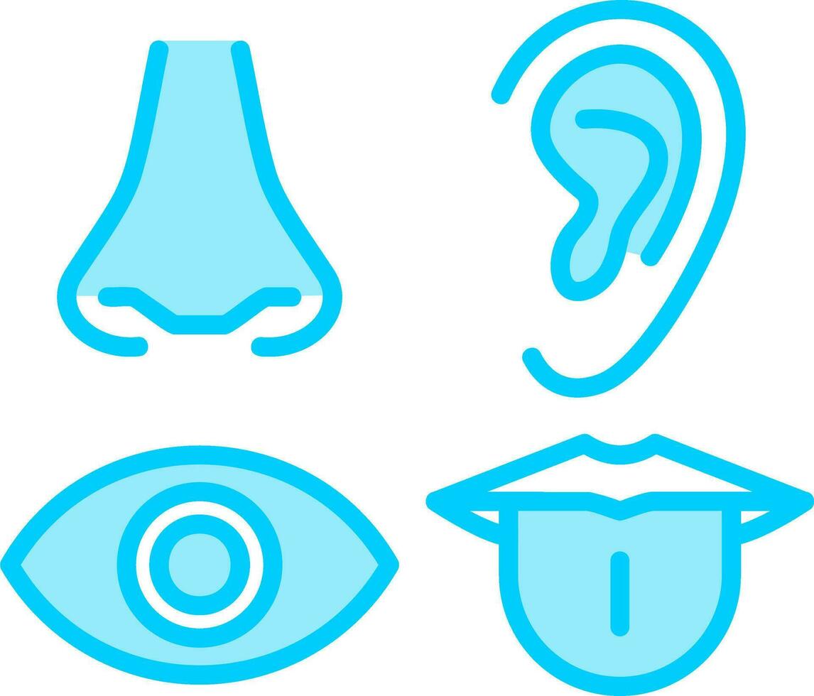 Senses Vector Icon