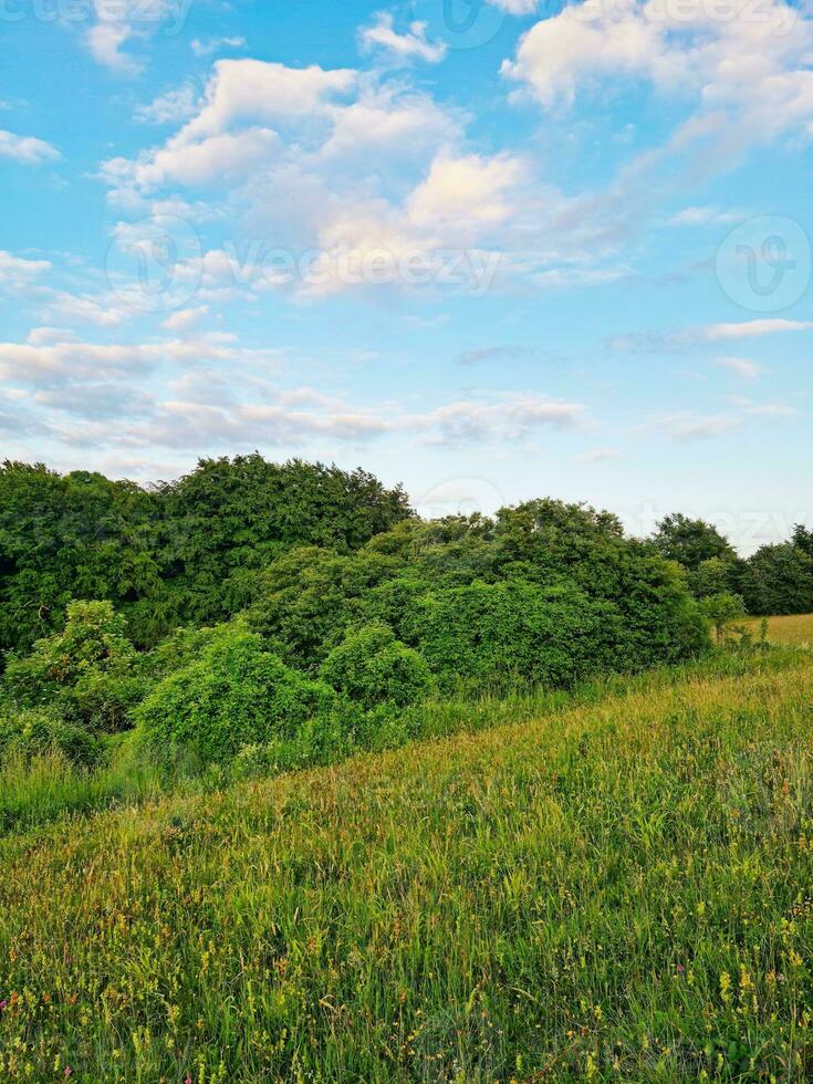 Beautiful Low Angle view of British Landscape and Countryside photo