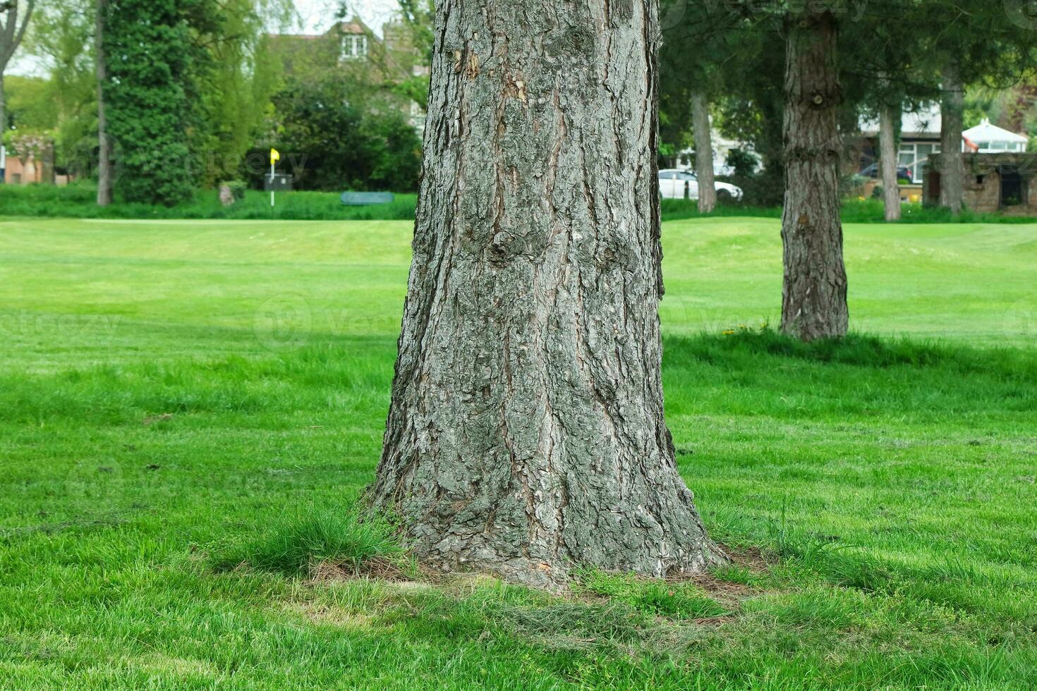 Gorgeous Low Angle View of Local Public Park of Luton England UK photo