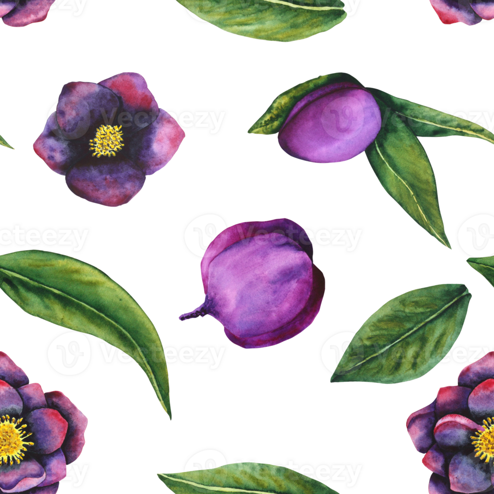 Hellebore black. Seamless pattern of watercolor elements. Hand drawn flowers, buds and leaves. Watercolor botanical work for cards, invitations, textiles and paper products png