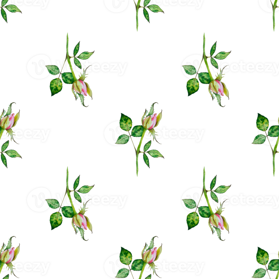 Bush roses. Blossoming bud with leaves. Watercolor seamless pattern. Can be used for textile design, paper products png