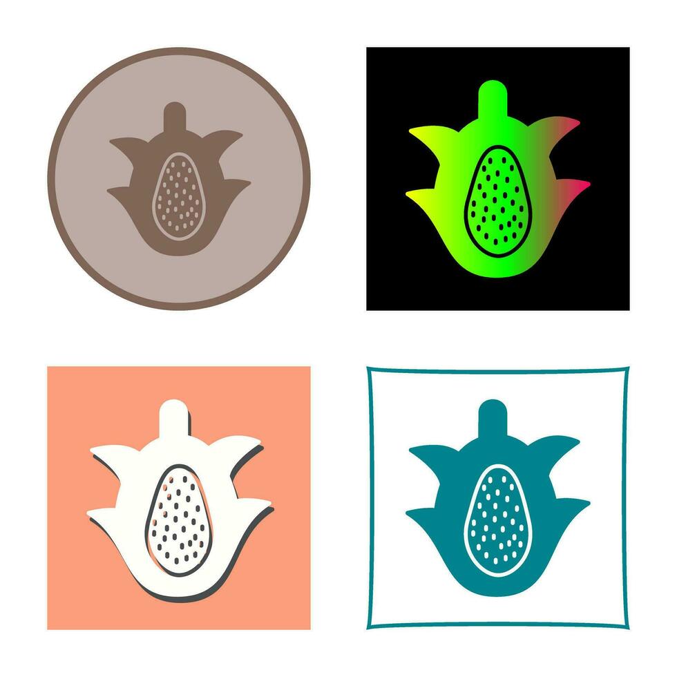 Dragon Fruit Vector Icon