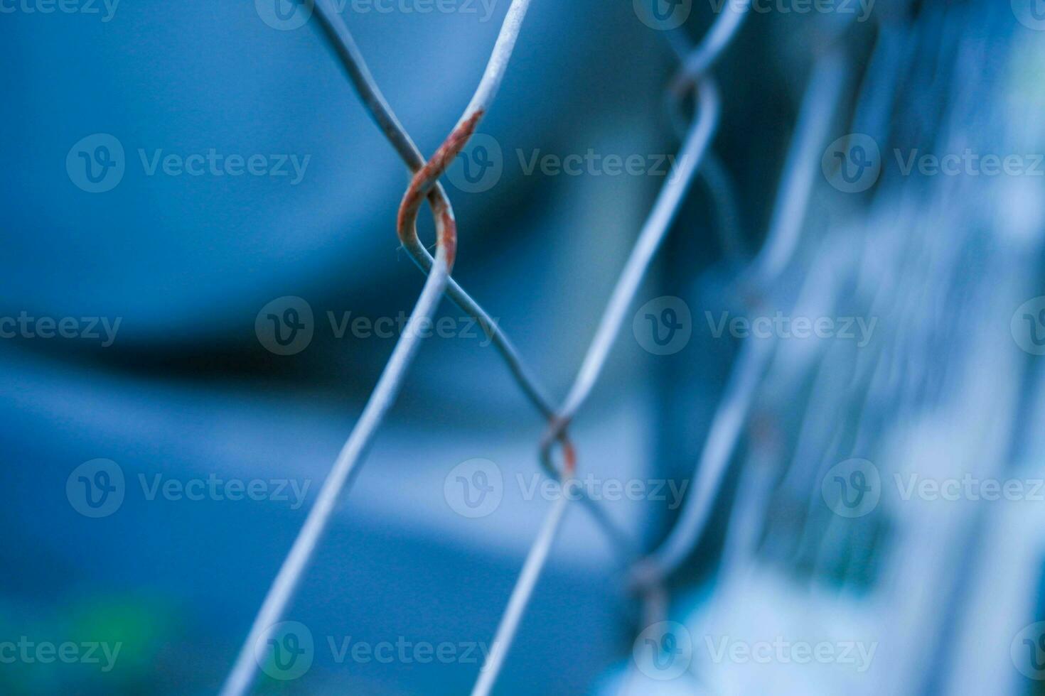 chain mesh, lattice fence, mesh fence. blue, cold photo