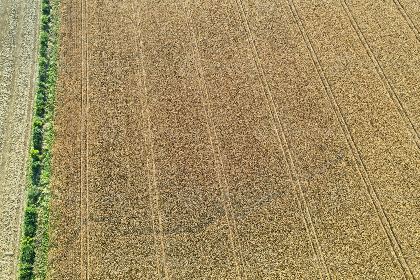 alto ángulo panorámico paisaje ver de británico agrícola granjas a campo paisaje de afilar badajos, lutón ciudad de Inglaterra Reino Unido. imágenes capturado en agosto 19, 2023 foto