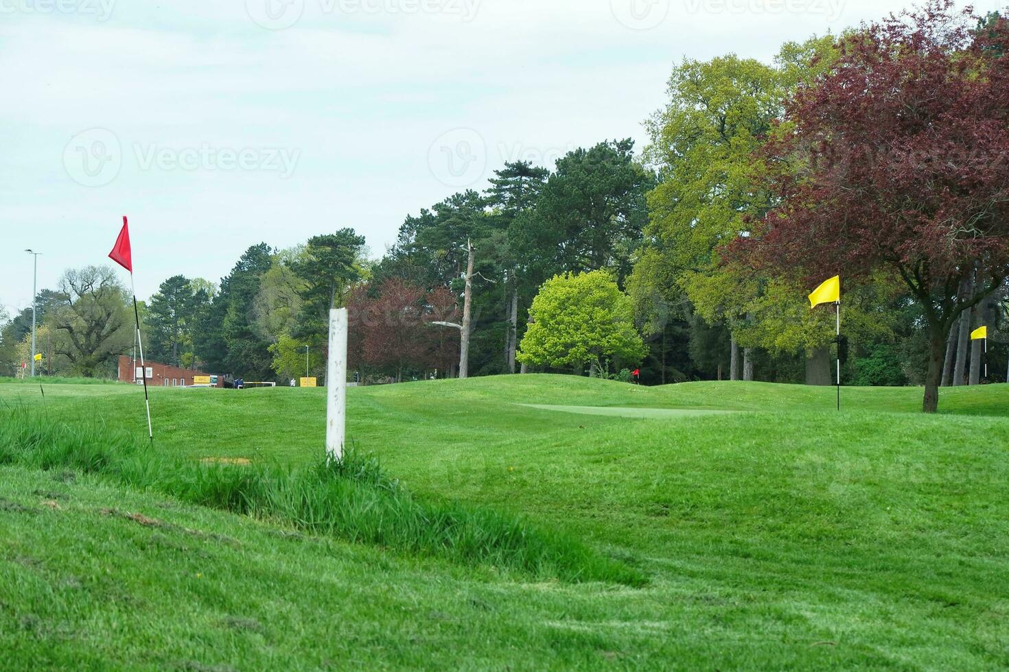 Gorgeous Low Angle View of Local Public Park of Luton England UK photo