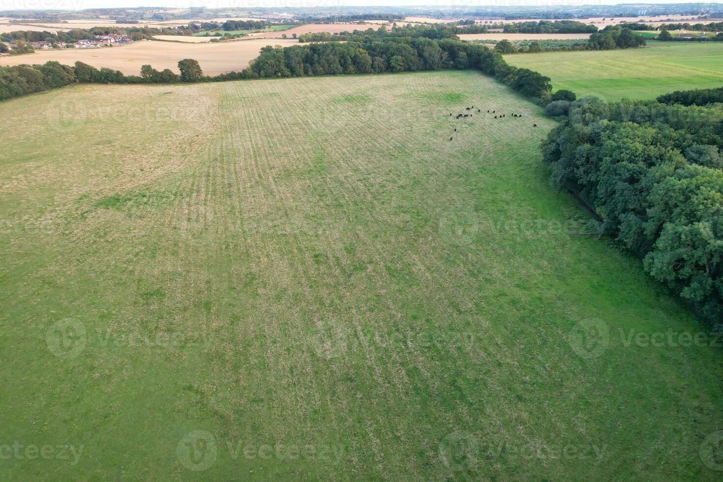 High Angle Panoramic Landscape View of British Agricultural Farms at Countryside Landscape of Sharpenhoe Clappers, Luton City of England UK. Footage Captured on August 19th, 2023 photo