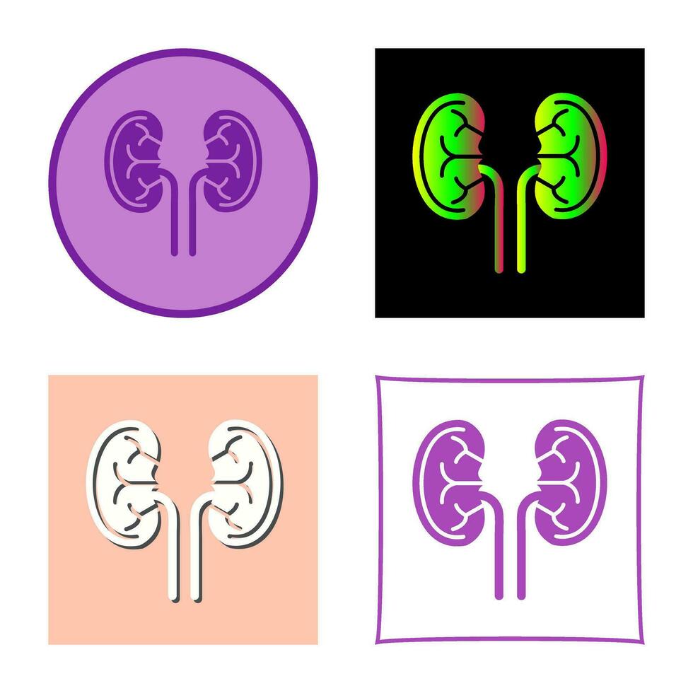 Kidney Vector Icon