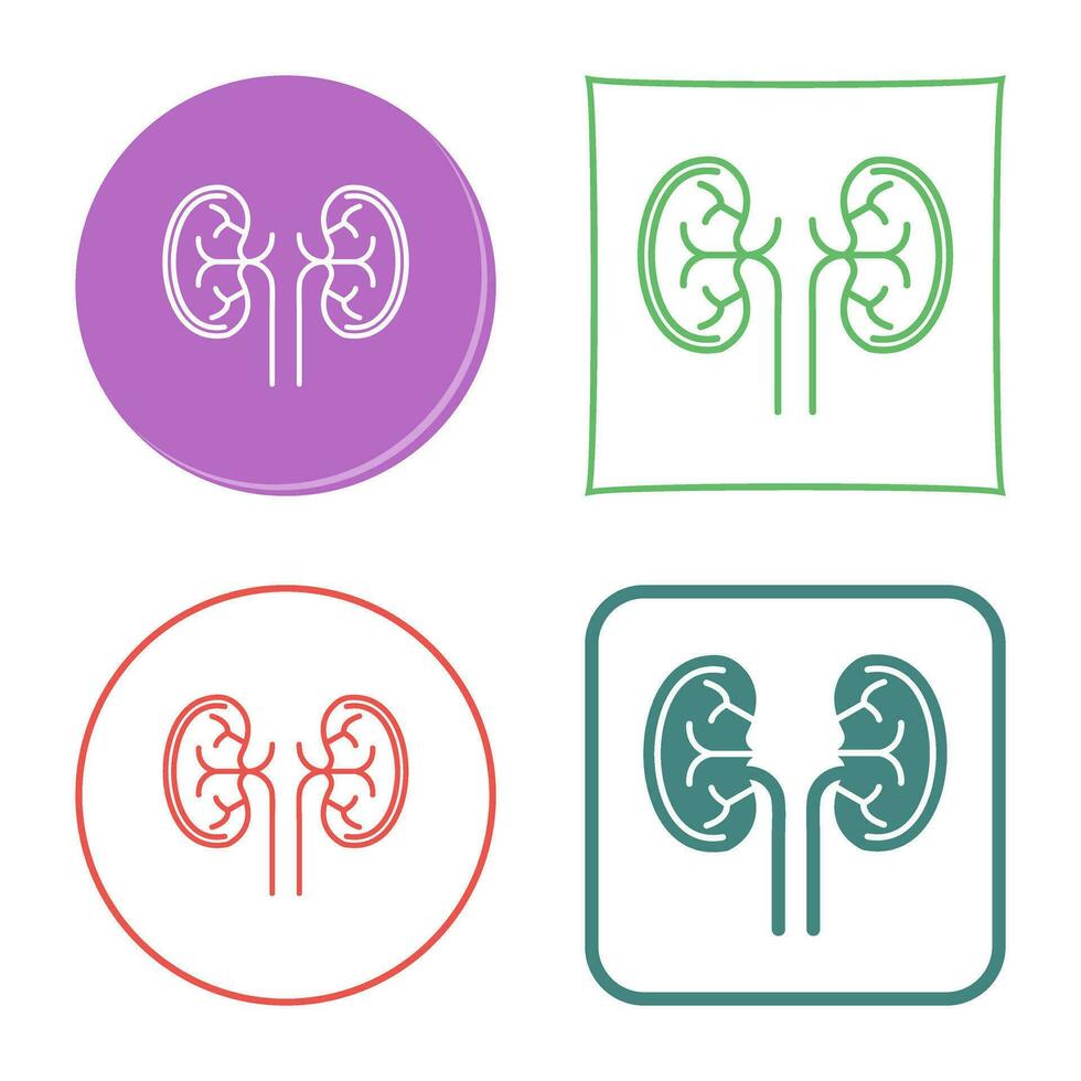 Kidney Vector Icon