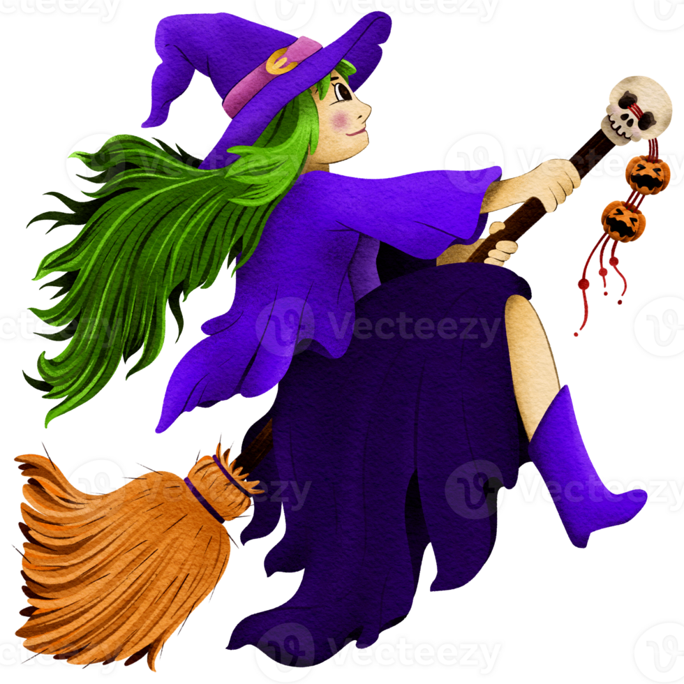 Witch flying on a broom png