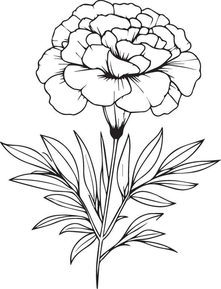 Simple marigold line drawing, marigold flower tattoo drawing, traditional marigold tattoo, black marigold tattoo, american traditional marigold tattoo, marigold flower tattoo drawing, simple marigold vector