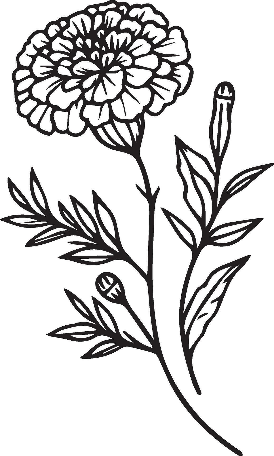 minimalist marigold tattoo in black and white, Mexican marigold tattoo
