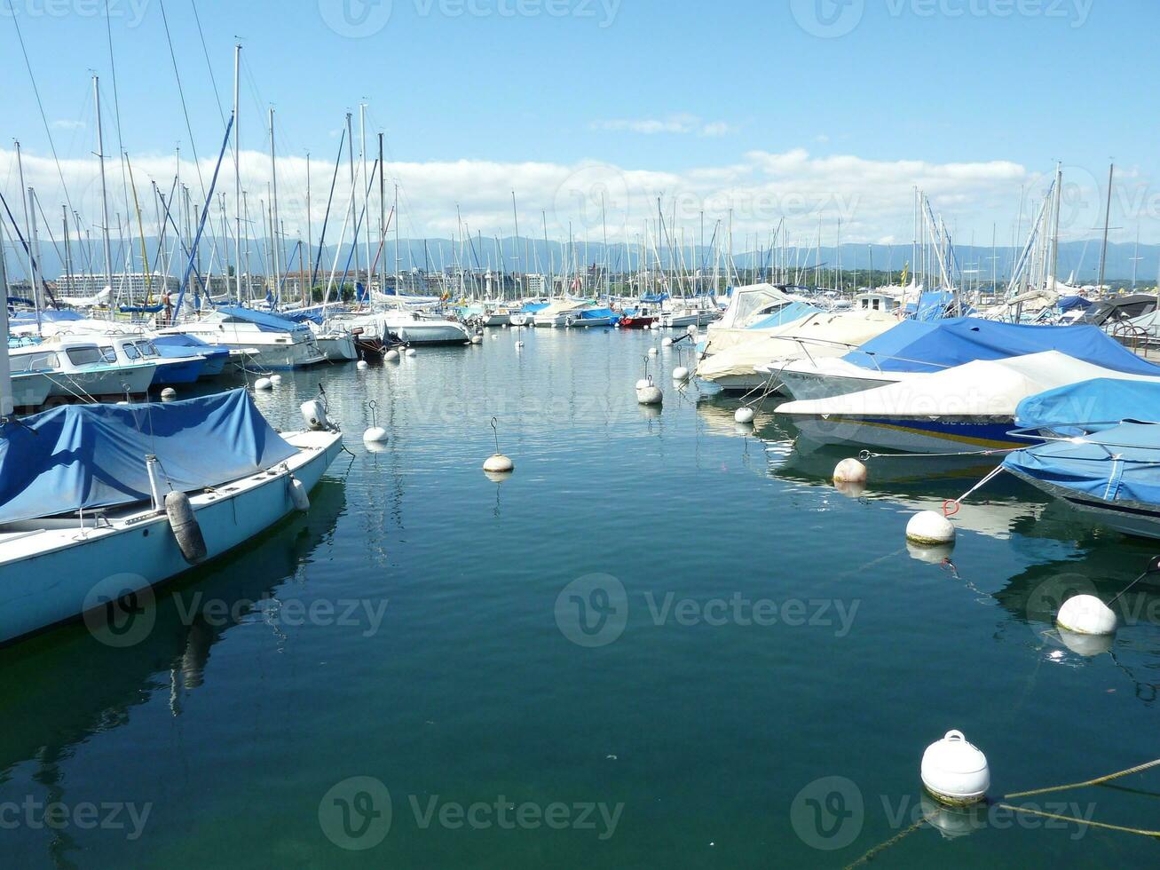 Sailboats in harbor photo