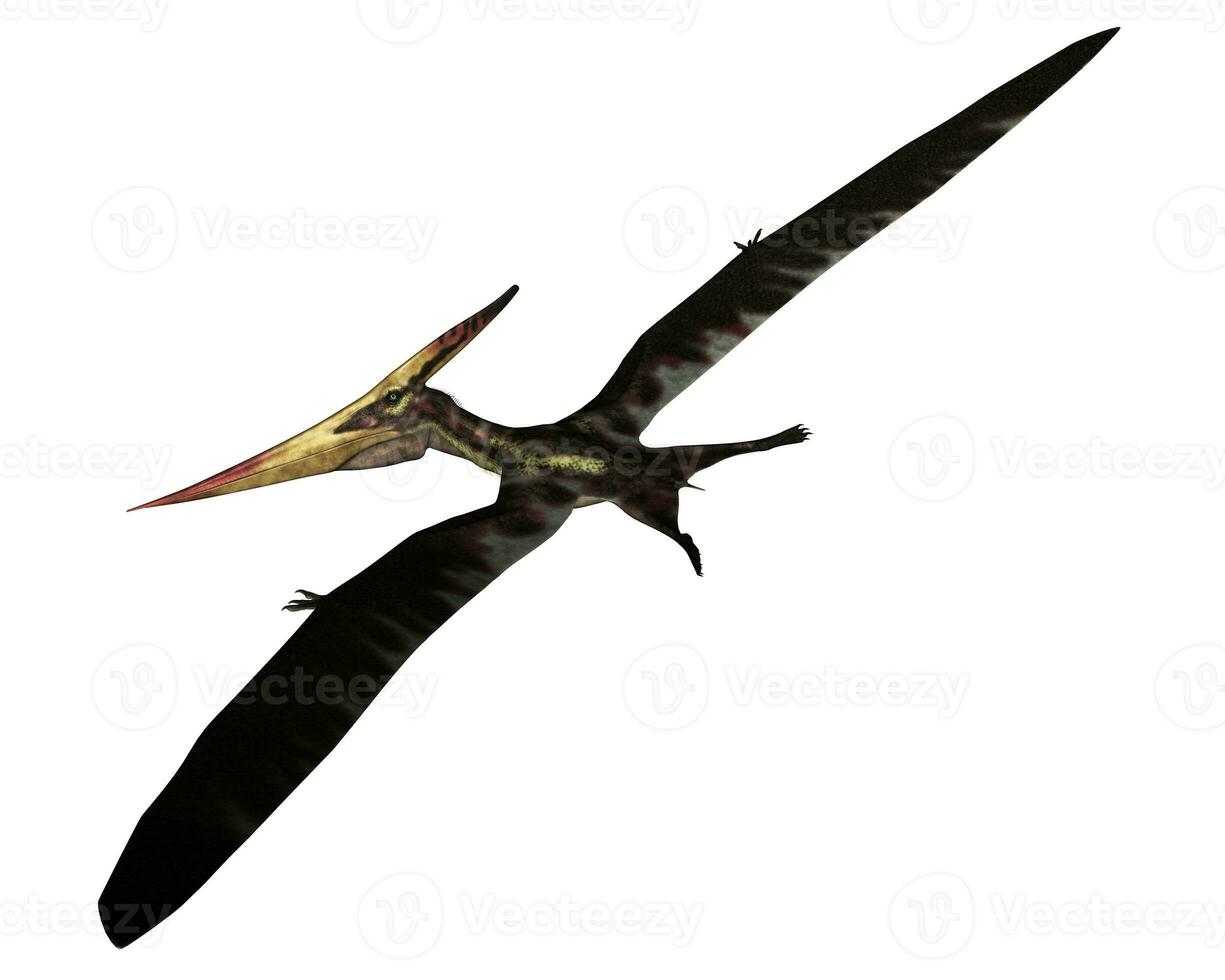 Pteranodon prehistoric bird flying - 3D render photo