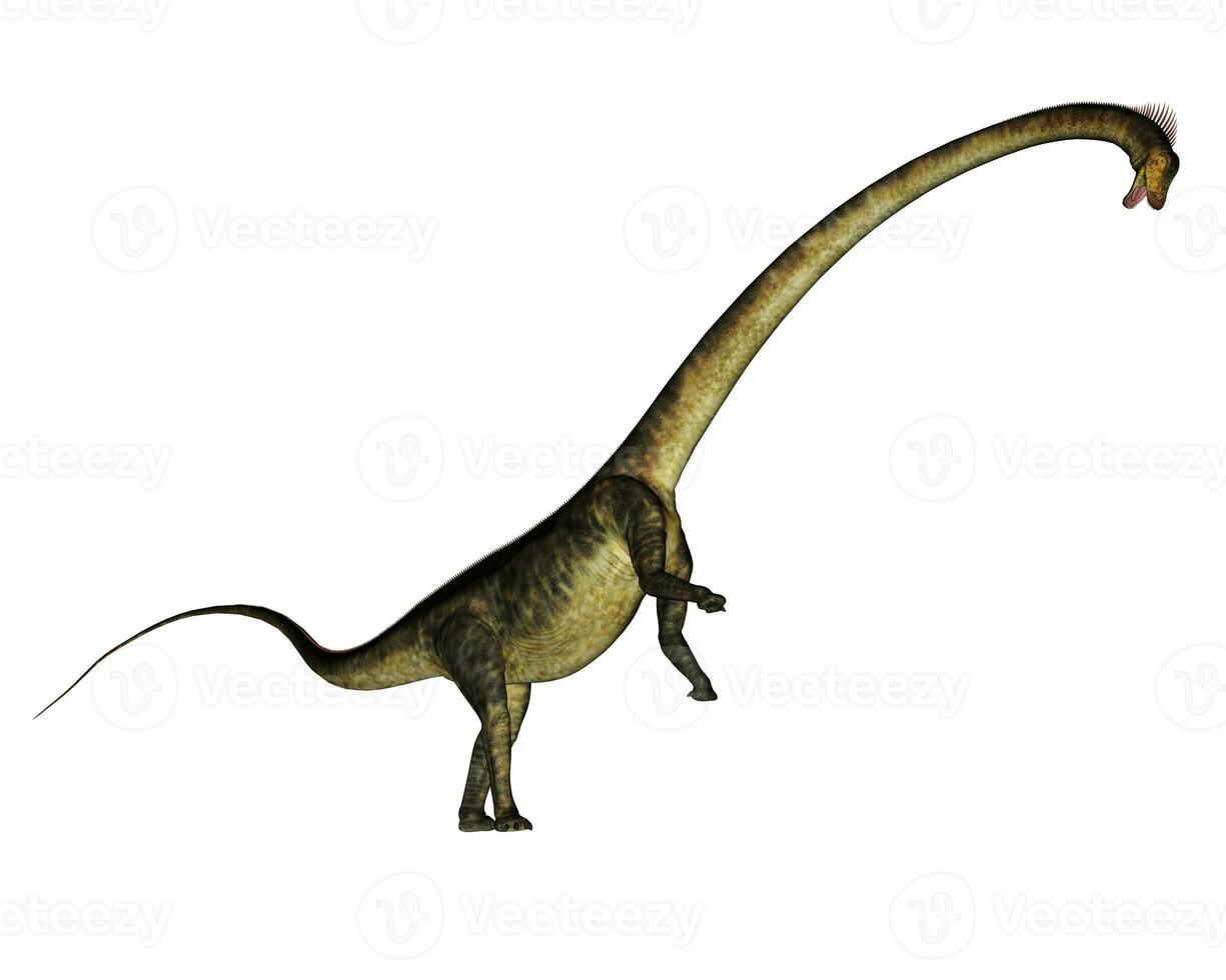 Barosaurus dinosaur rearing up - 3D render photo
