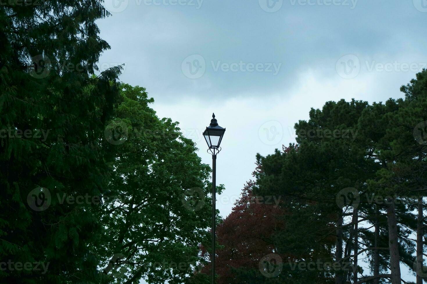 Gorgeous Low Angle View of Local Public Park of Luton England UK photo
