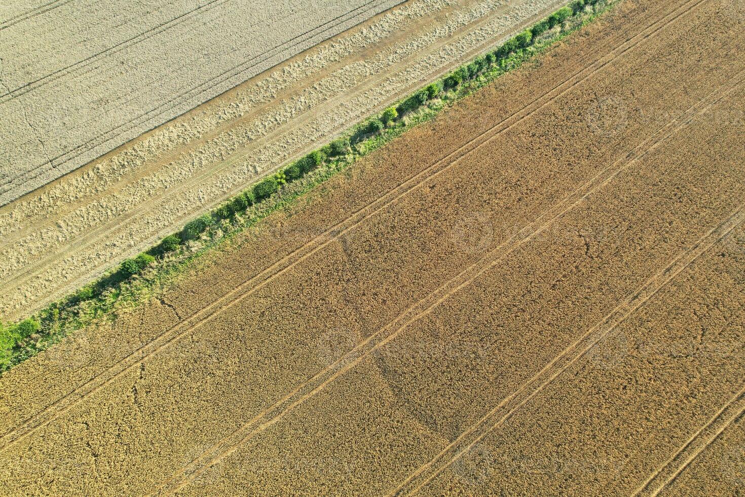 High Angle Footage of British Agricultural Farms at Countryside Landscape Nearby Luton City of England Great Britain of UK. Footage Was Captured with Drone's Camera on August 19th, 2023 photo