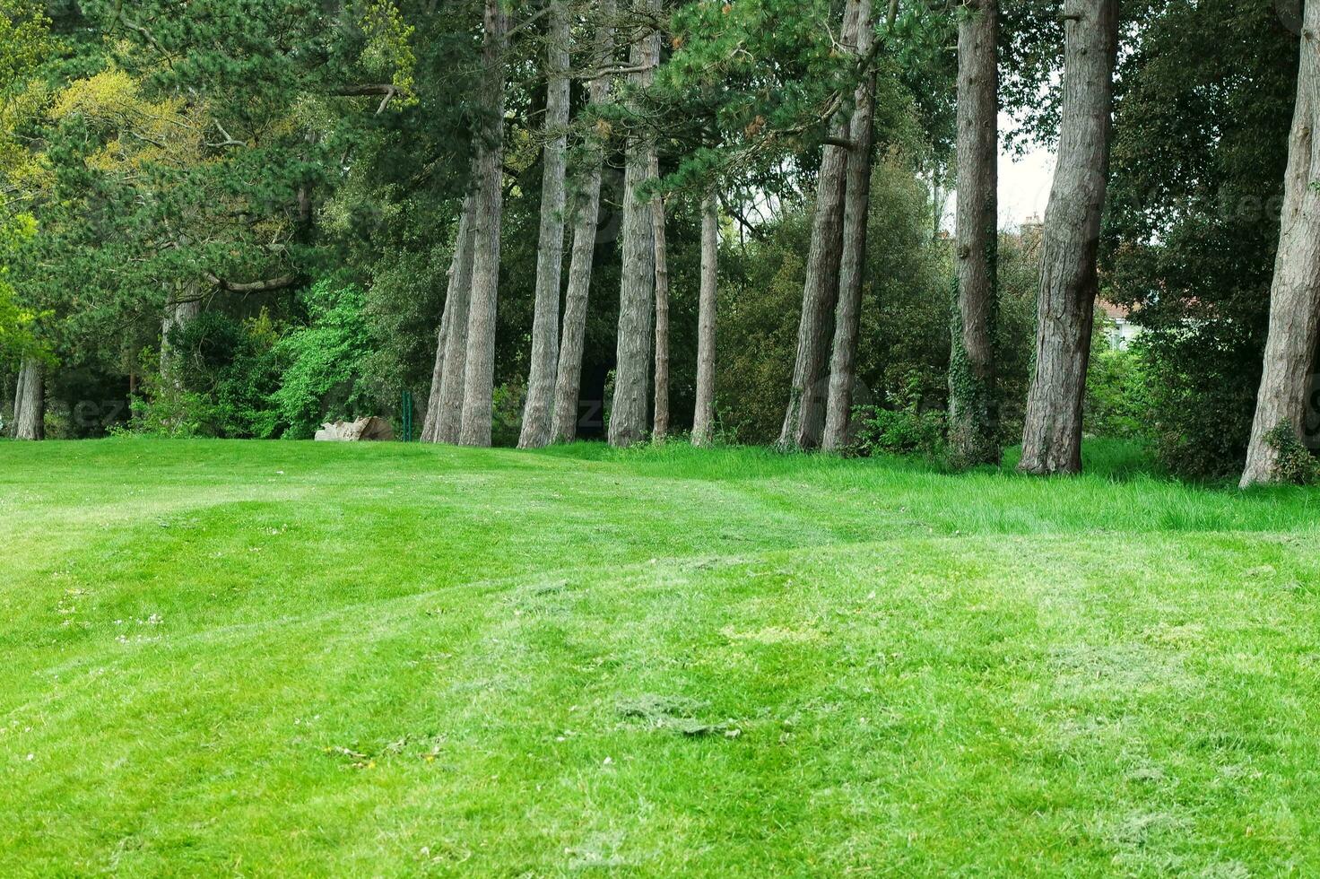 Gorgeous Low Angle View of Local Public Park of Luton England UK photo