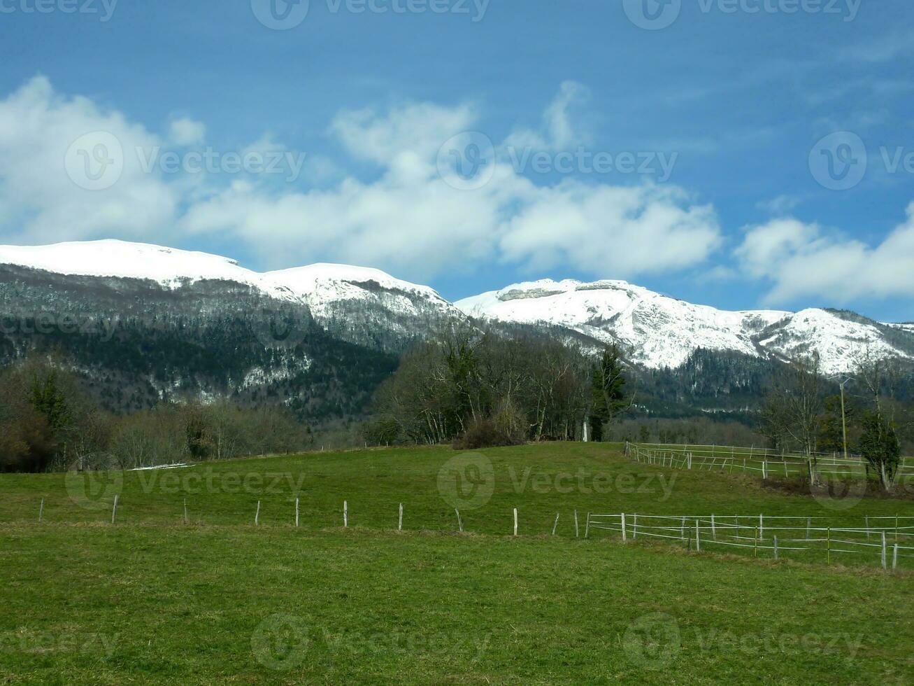 Meadows and mountain photo