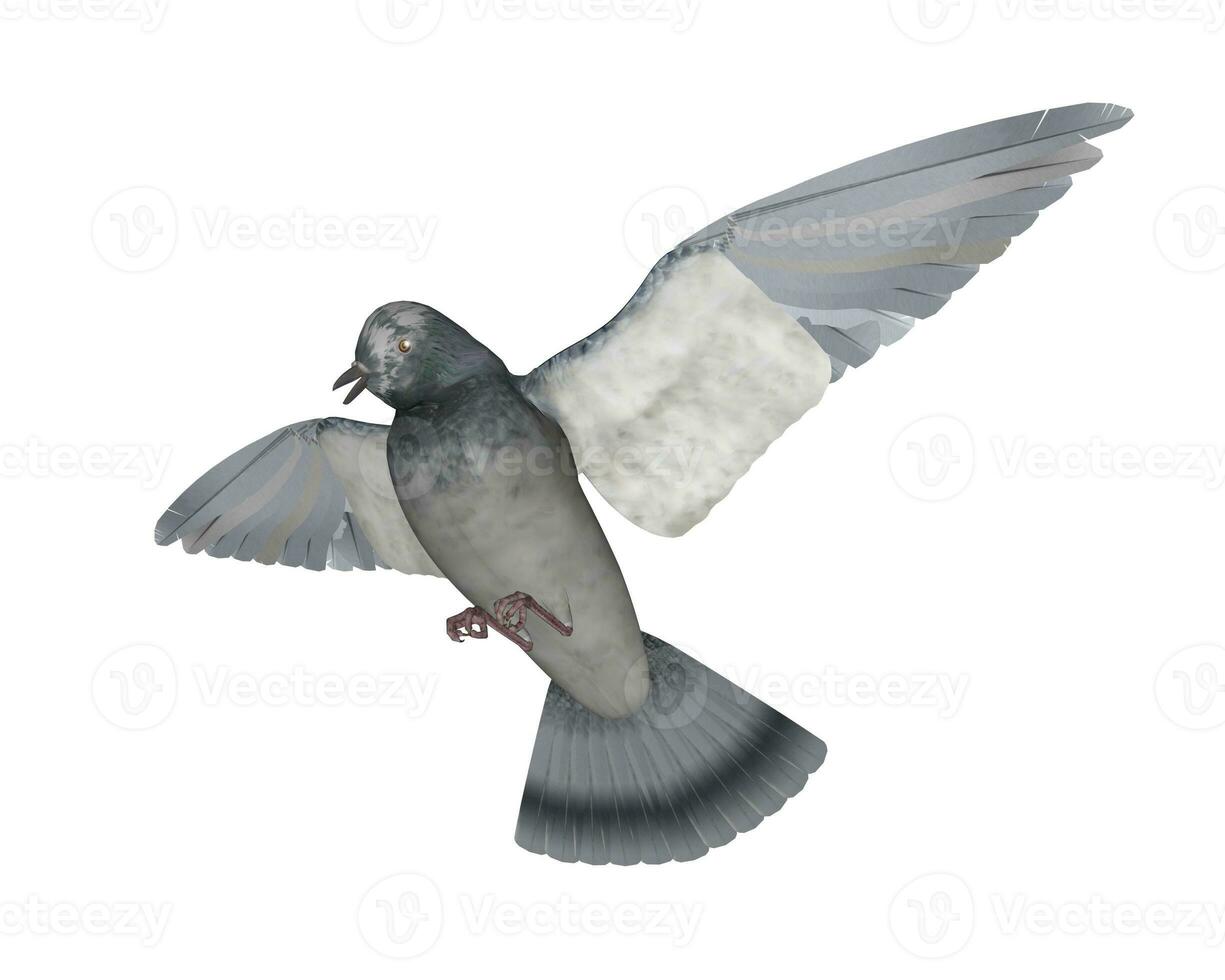 Pigeon flying - 3D render photo