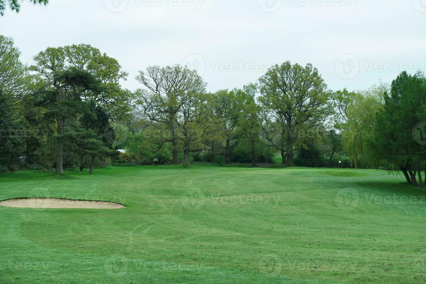 Gorgeous Low Angle View of Local Public Park of Luton England UK photo