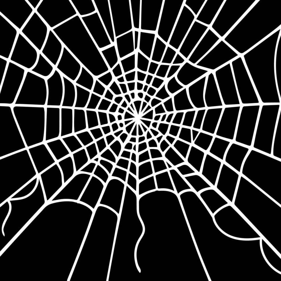 Black background with spider round white web, vector silhouette