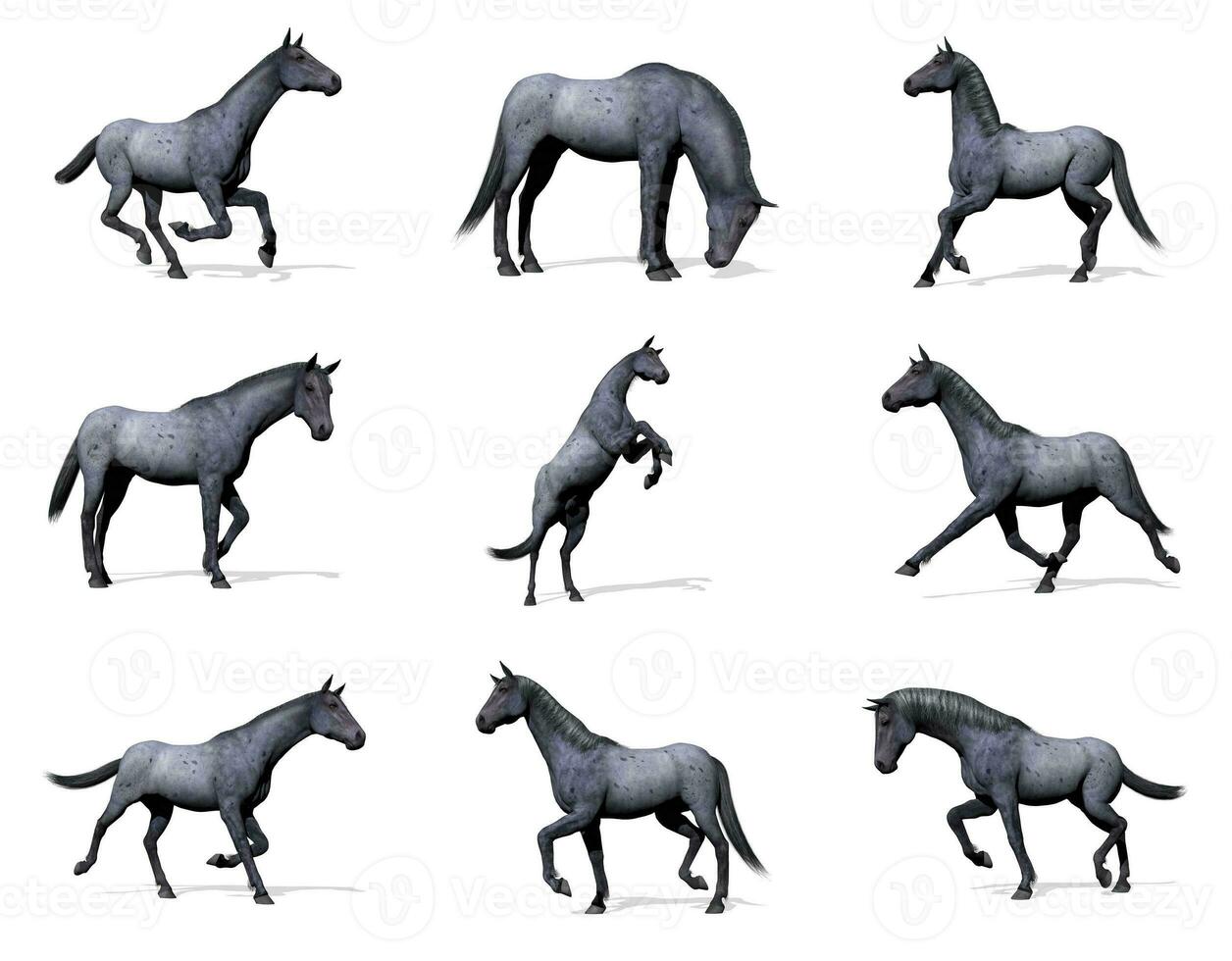 Set of blue roan horses - 3D render photo