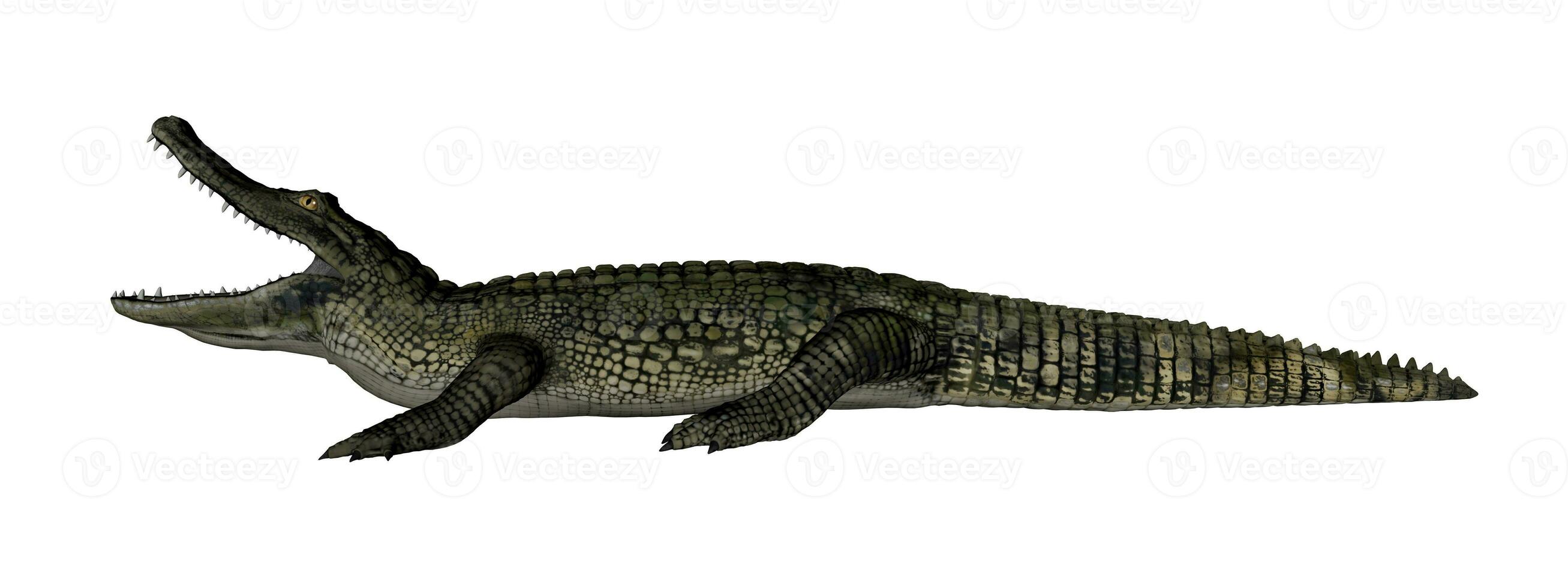 Caiman roaring - 3D render photo