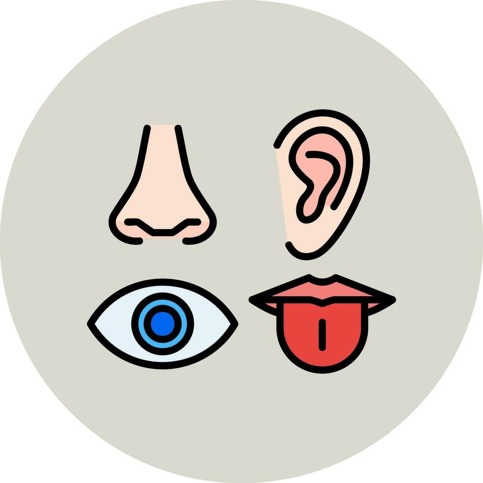 Senses Vector Icon