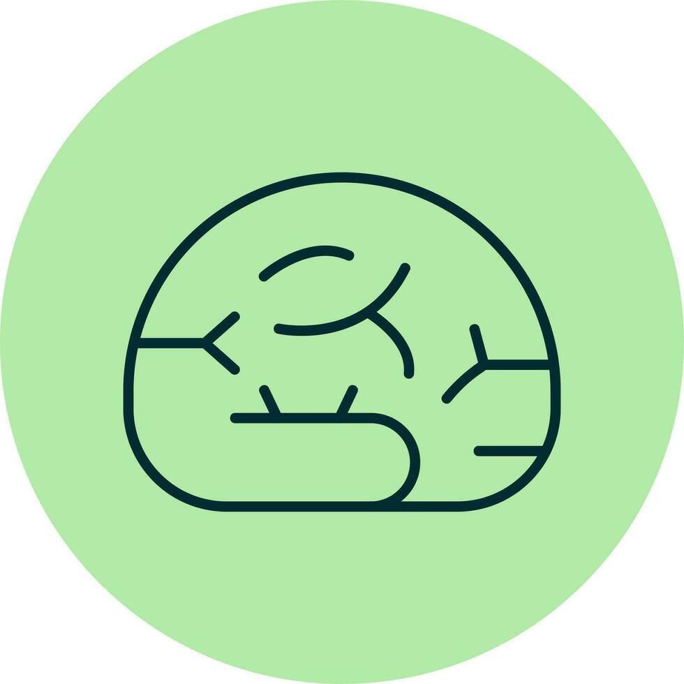 Brain Vector Icon