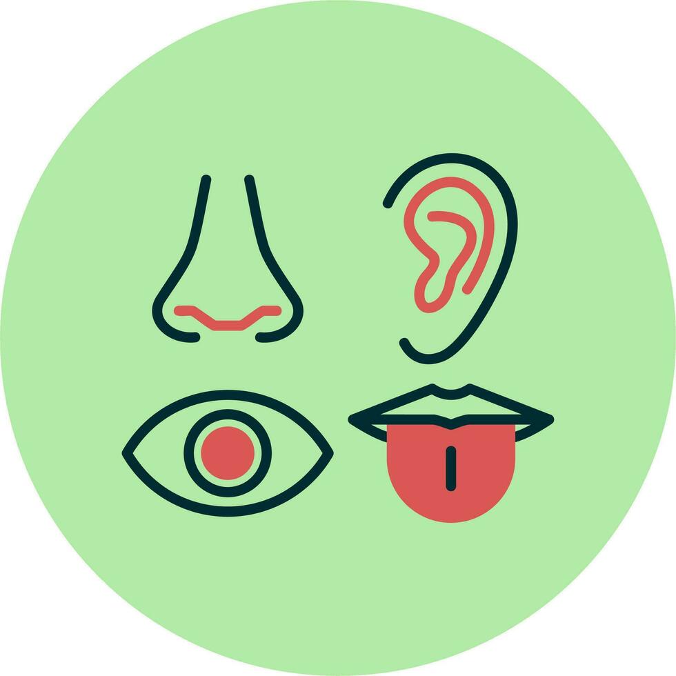 Senses Vector Icon