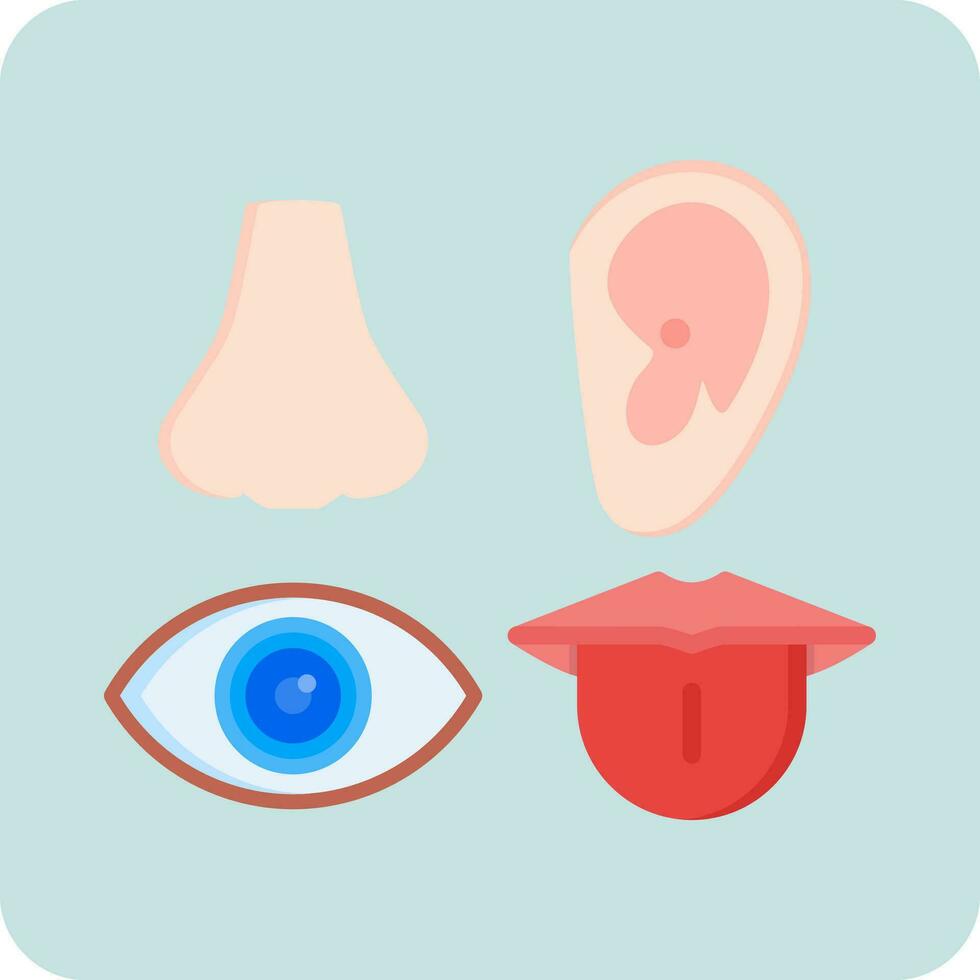 Senses Vector Icon