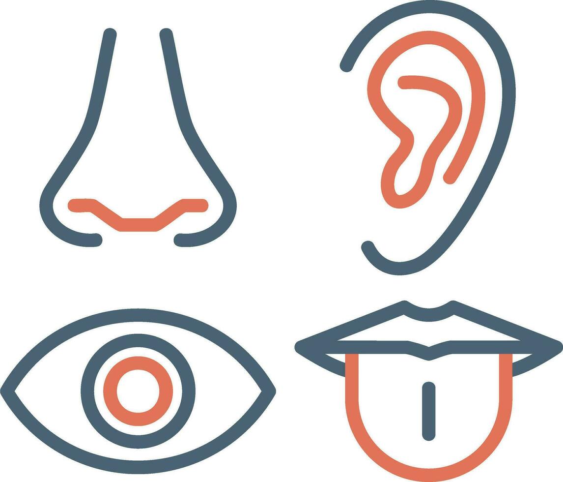 Senses Vector Icon