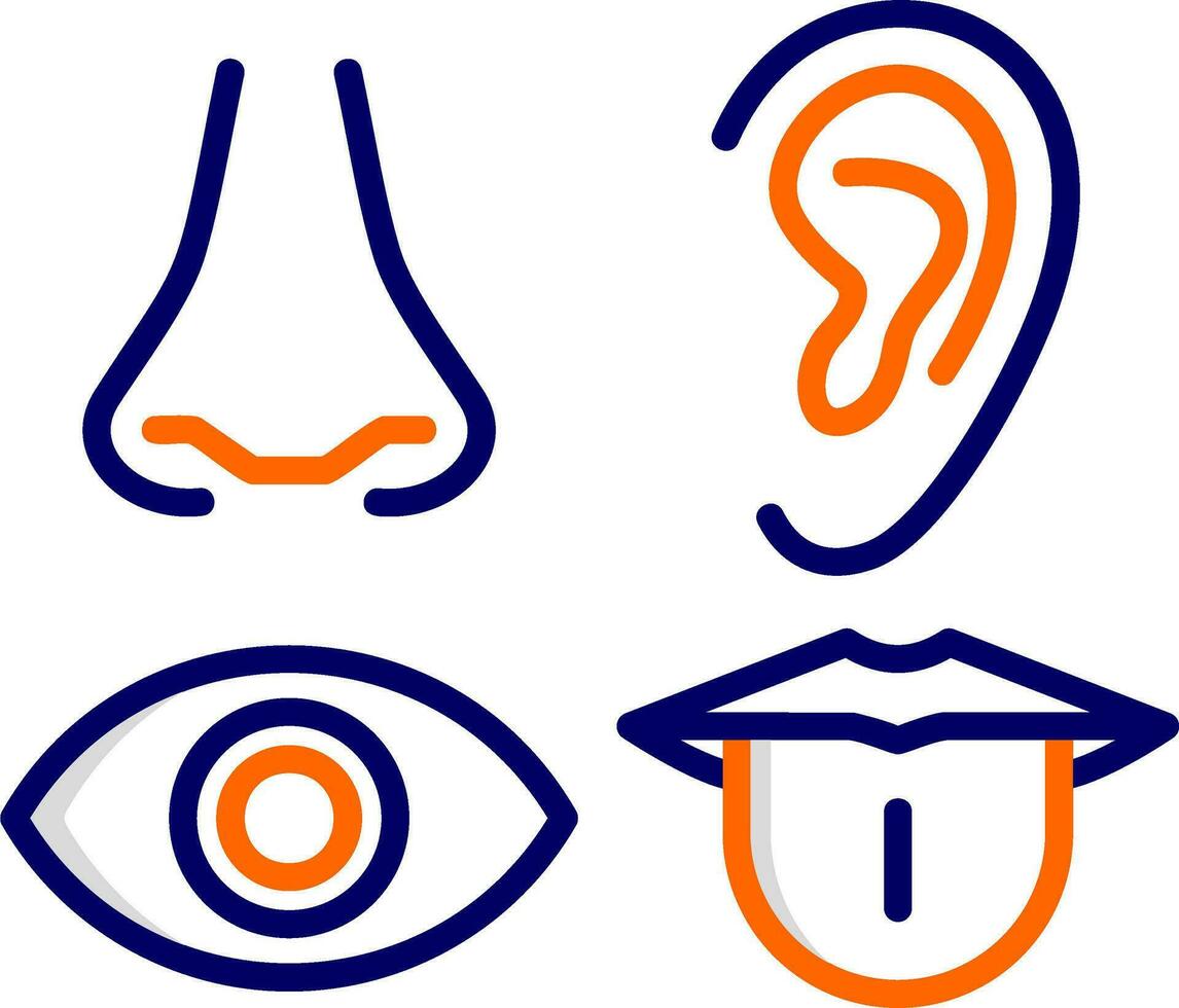 Senses Vector Icon