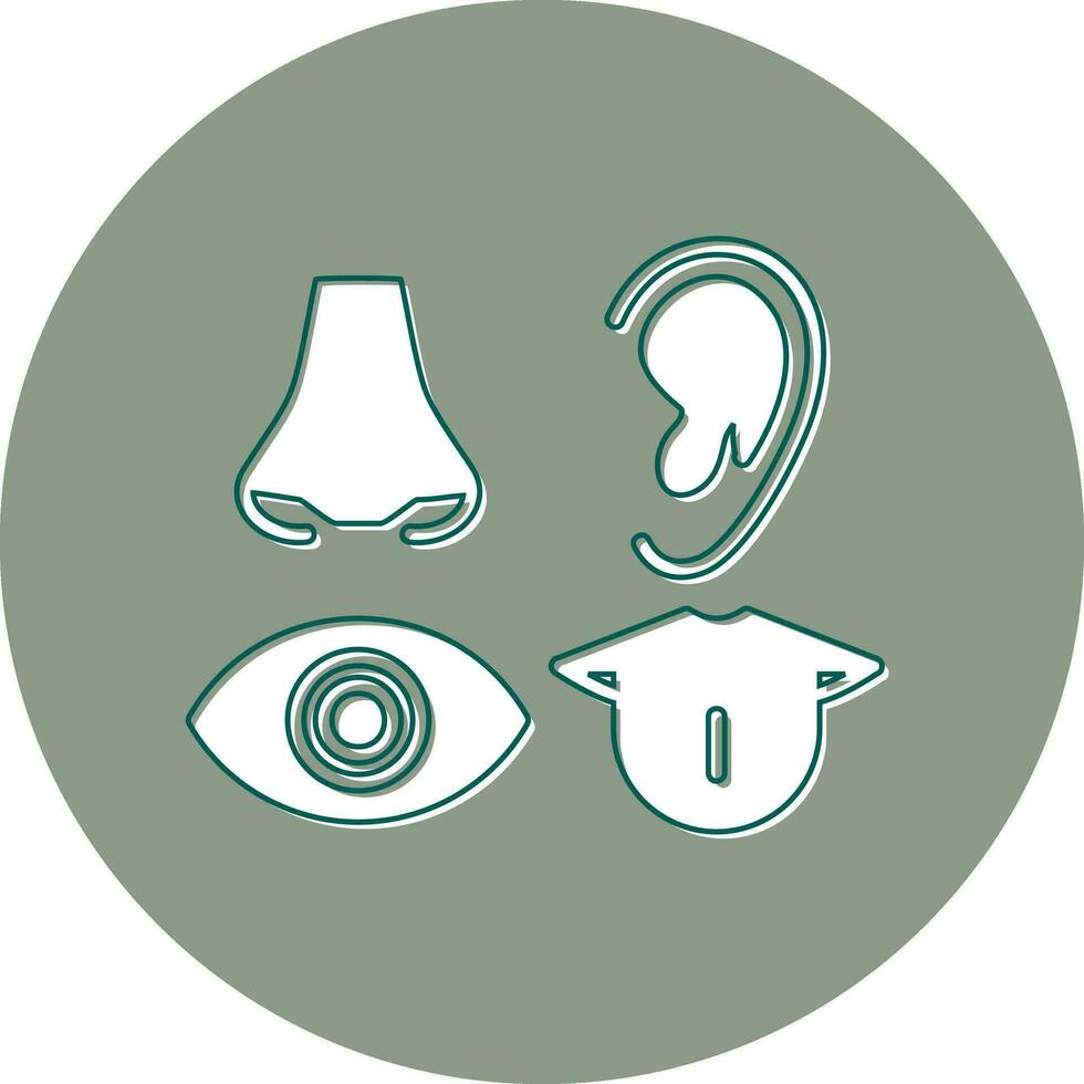 Senses Vector Icon