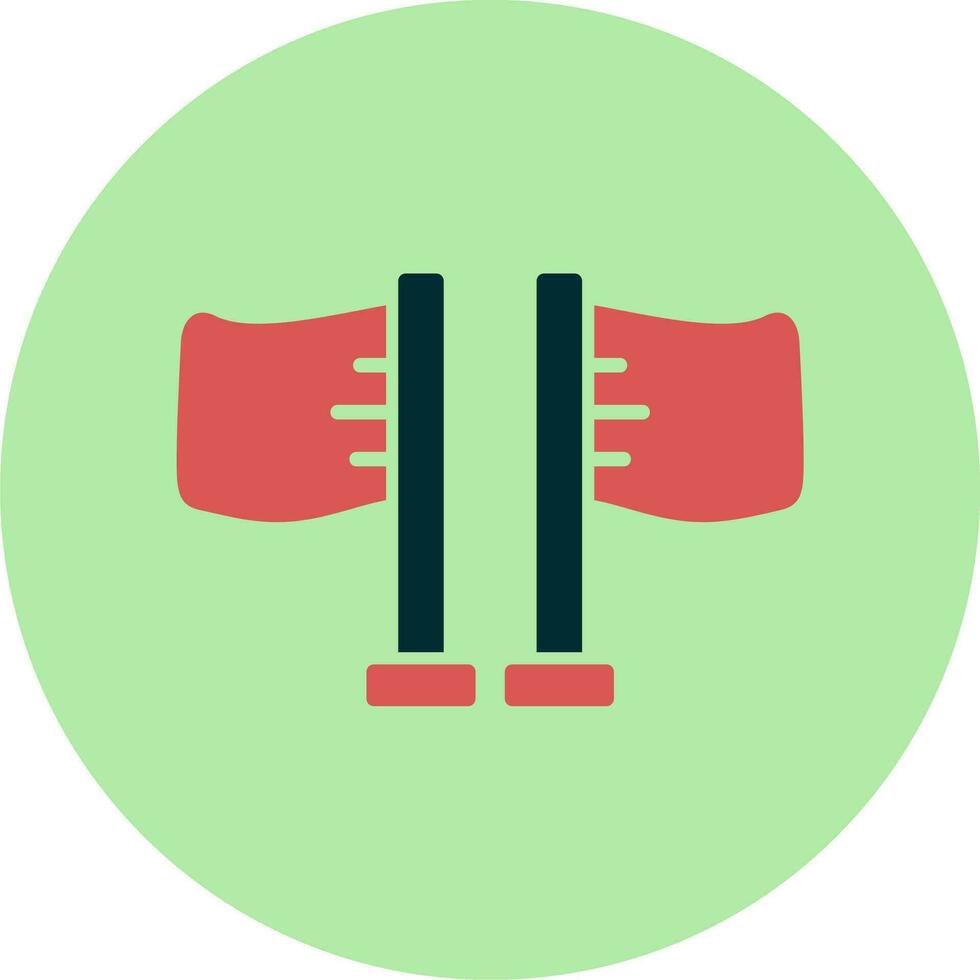 Flags Vector Icon