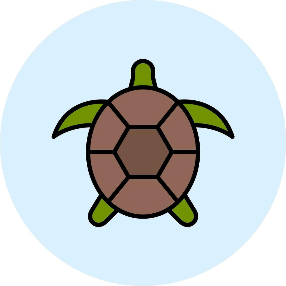 Turtle Vector Icon
